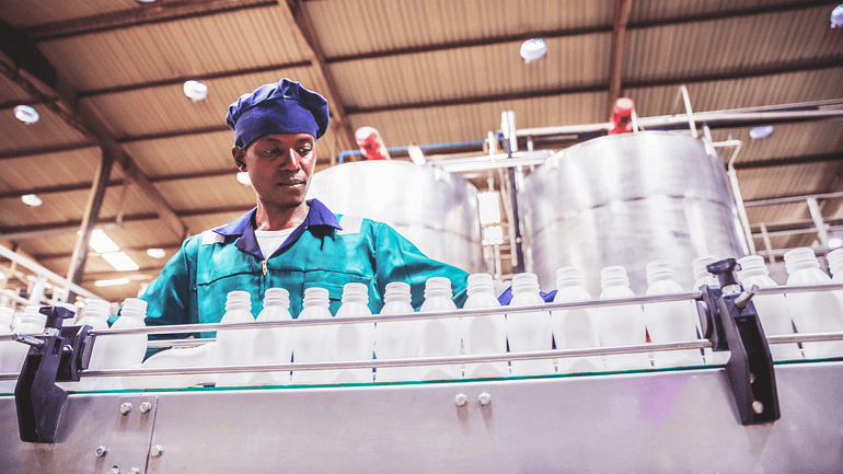 Addressing Antimicrobial Resistance: A Pioneering Endeavor in Kenya’s Dairy Sector